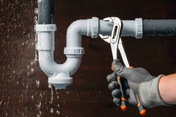 Professional Emergency Plumber technician working in Pierz, MN